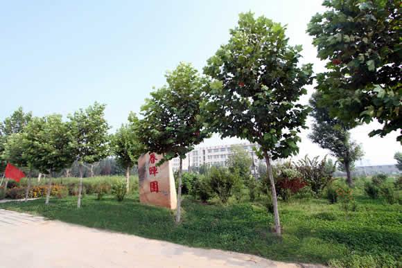 衡水科技工程學(xué)校怎么樣？是國(guó)辦院校嗎？就業(yè)有保障嗎？
