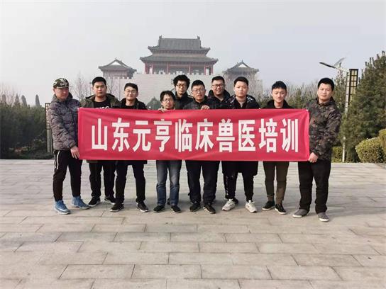 想當(dāng)獸醫(yī)要學(xué)什么？   