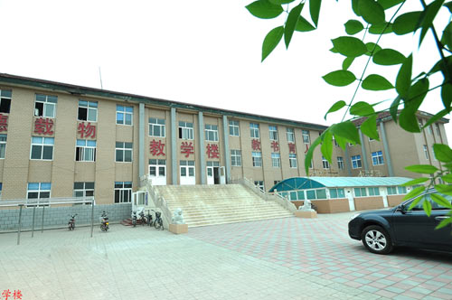 滄州國興職業(yè)技術(shù)學(xué)校開設(shè)了哪些專業(yè)？