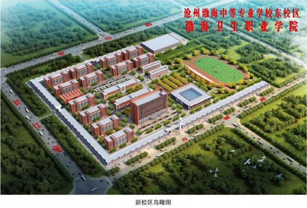 滄州學(xué)幼師為什么選擇滄州渤海專(zhuān)修學(xué)院？