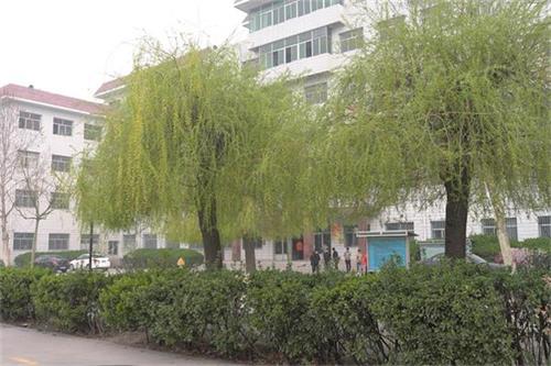 保定學(xué)鐵路乘服去哪里好？是校企合作專(zhuān)業(yè)嗎？