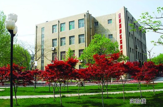 淄博市工業(yè)學(xué)校開設(shè)哪些計算機課程？