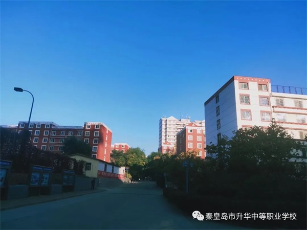 河北哪所學(xué)校開設(shè)了電子商務(wù)專業(yè)？