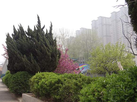 煙臺天虹學(xué)院怎么樣？