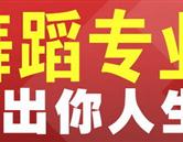石家莊華藝高考藝術(shù)生培訓學校